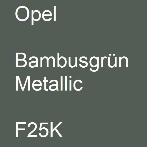 Opel, Bambusgrün Metallic, F25K.